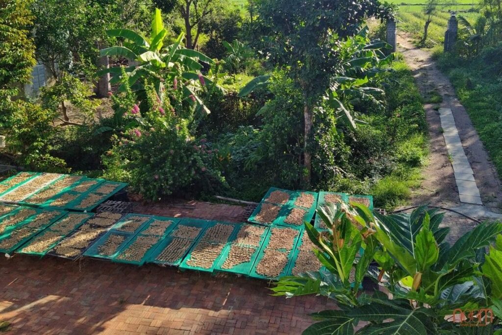 Thực Phẩm Noom