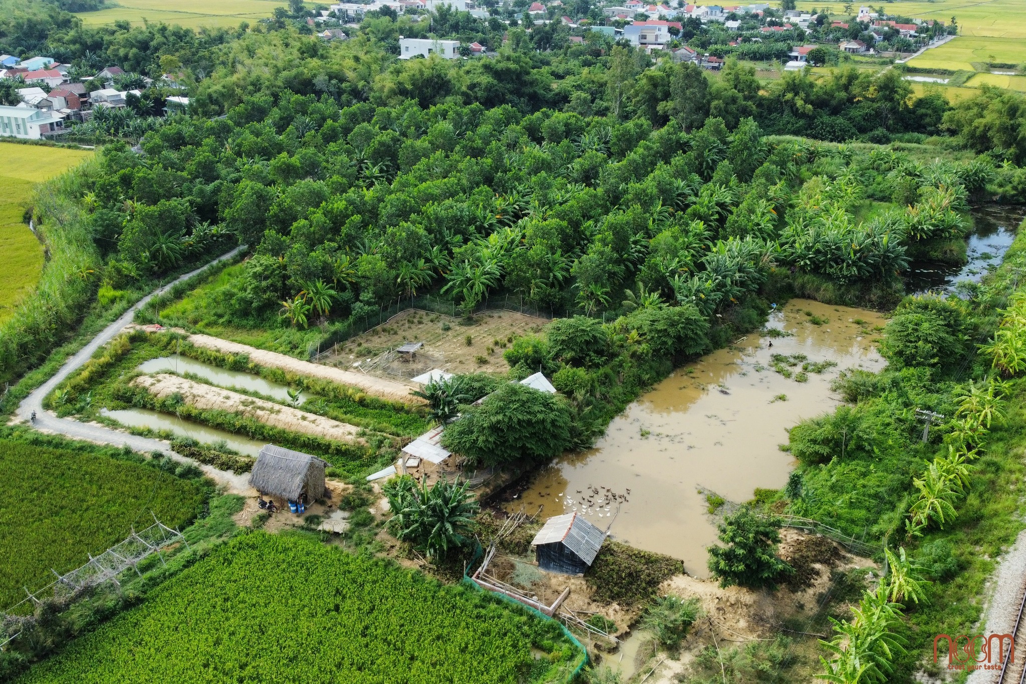 Hệ vi sinh vật trong đất góp phần tạo nên dinh dưỡng cho đất