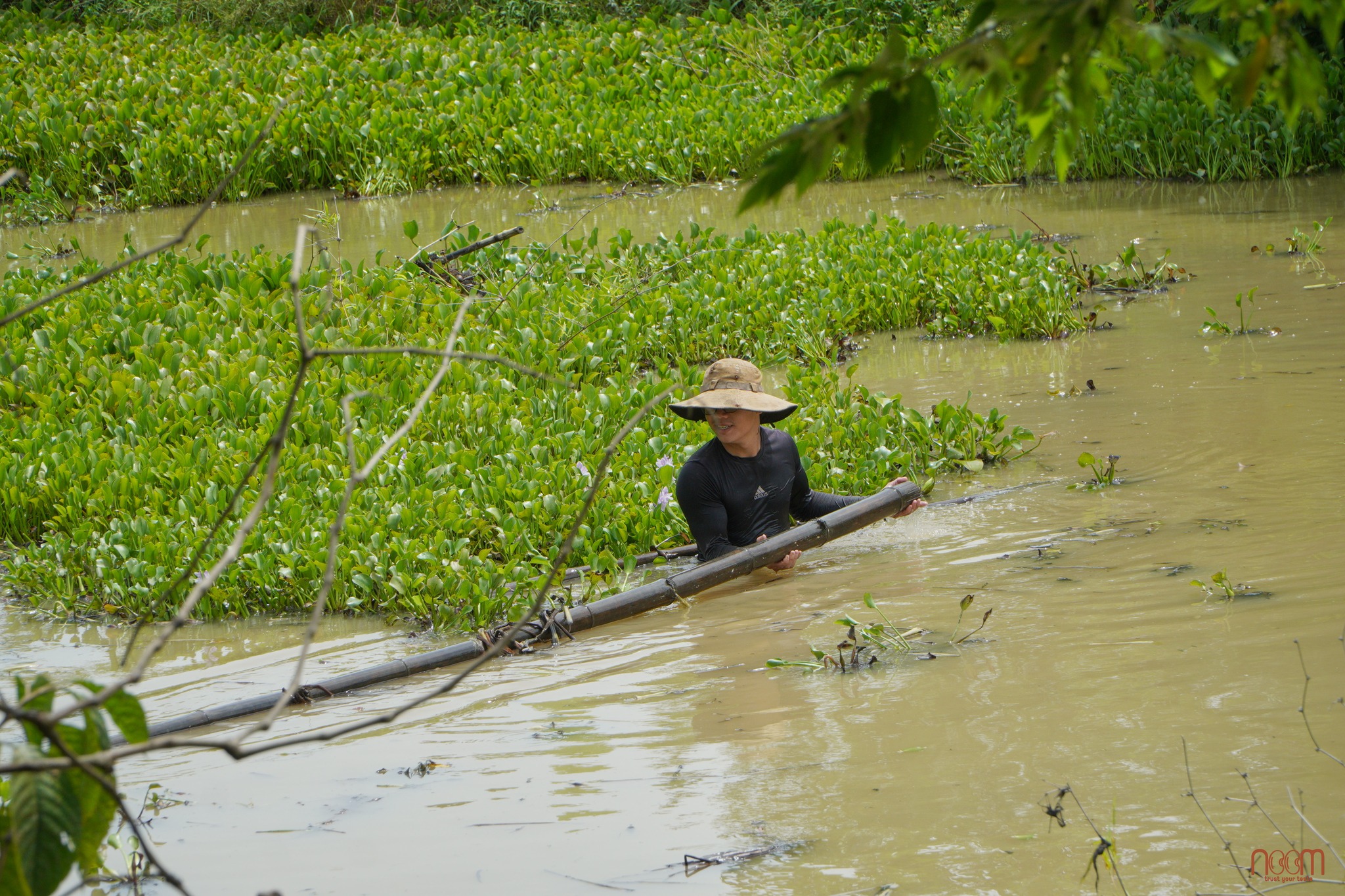 Dinh dưỡng trong đất sẽ không bị mất đi mà sẽ liên tục luân chuyển