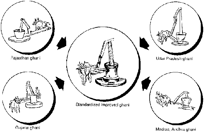 ‘Ghani’– Dụng cụ truyền thống của Ấn Độ để nghiền hạt có dầu. 