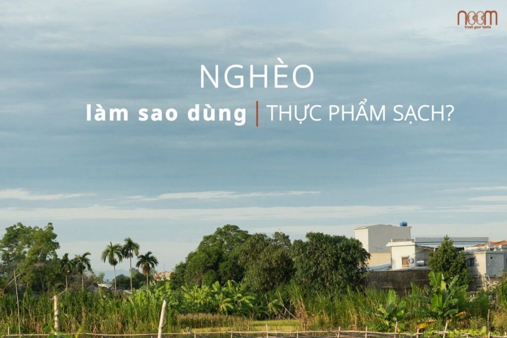 ngheo-dung-thuc-pham-sach-1024x684-1 ngheo-dung-thuc-pham-sach