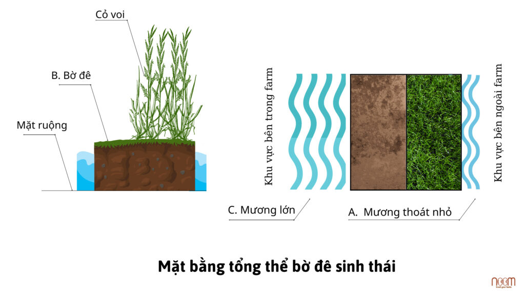 thiet-ke-hang-rao-sinh-thai-mat-bang-tong-the-vuong-rung