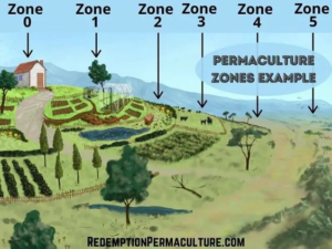 Một ví dụ khác về Permaculture