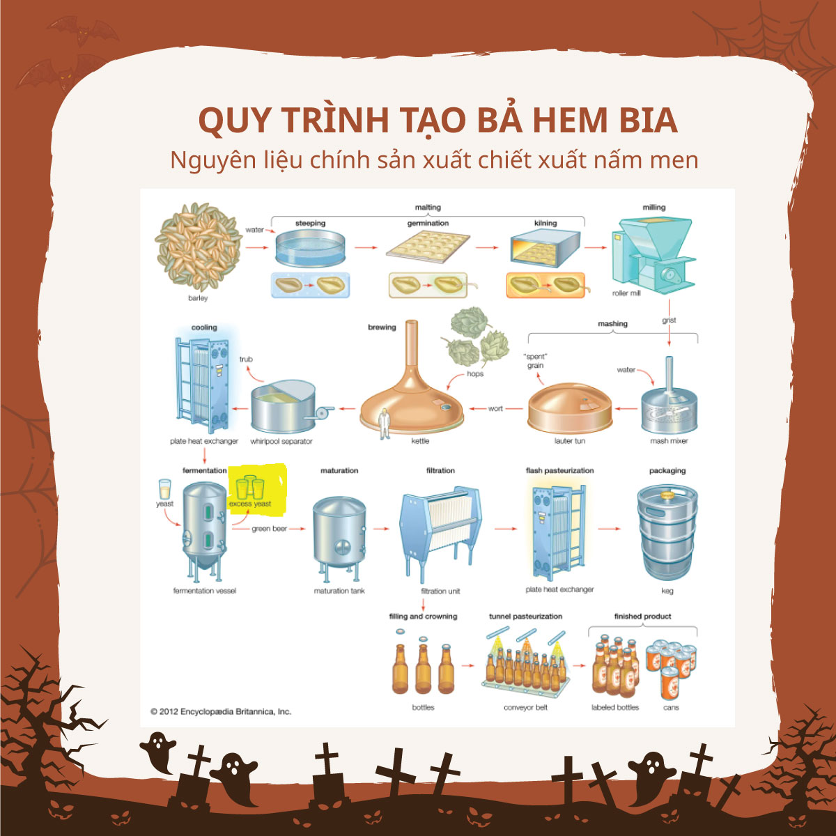 Chiết Xuất Nấm Men – Bia Đỡ Đạn Cho MSG?