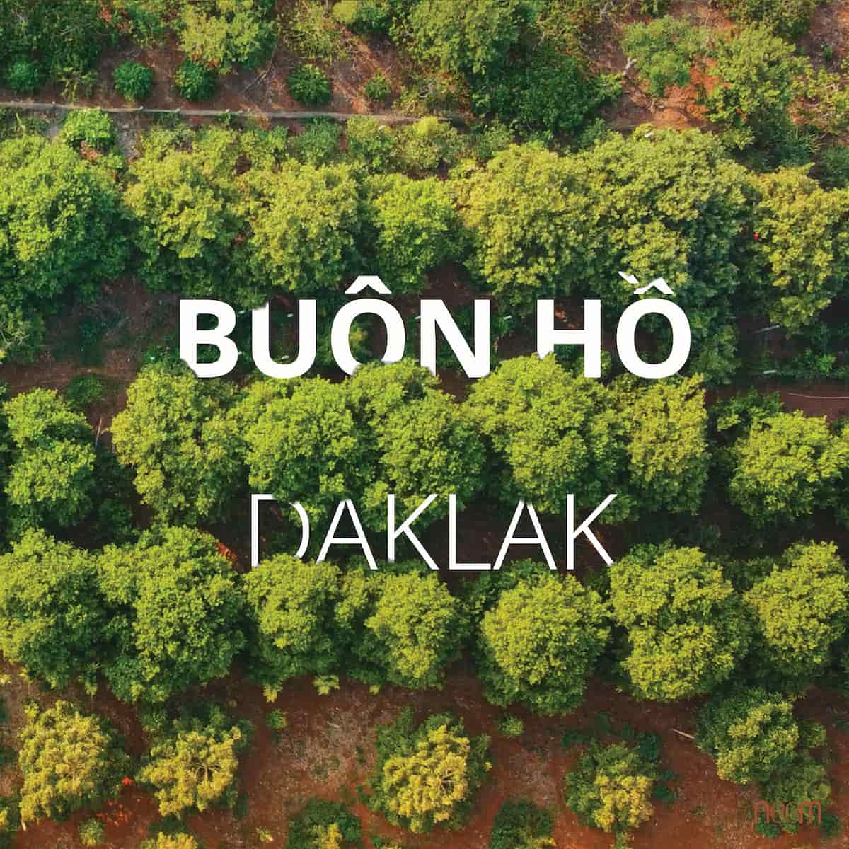 dau-macca-ep-lanh-1