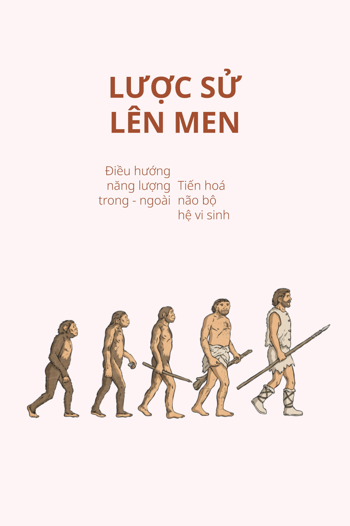 Thực Phẩm Lên Men Giúp Phát Triển Não Bộ Con Người
