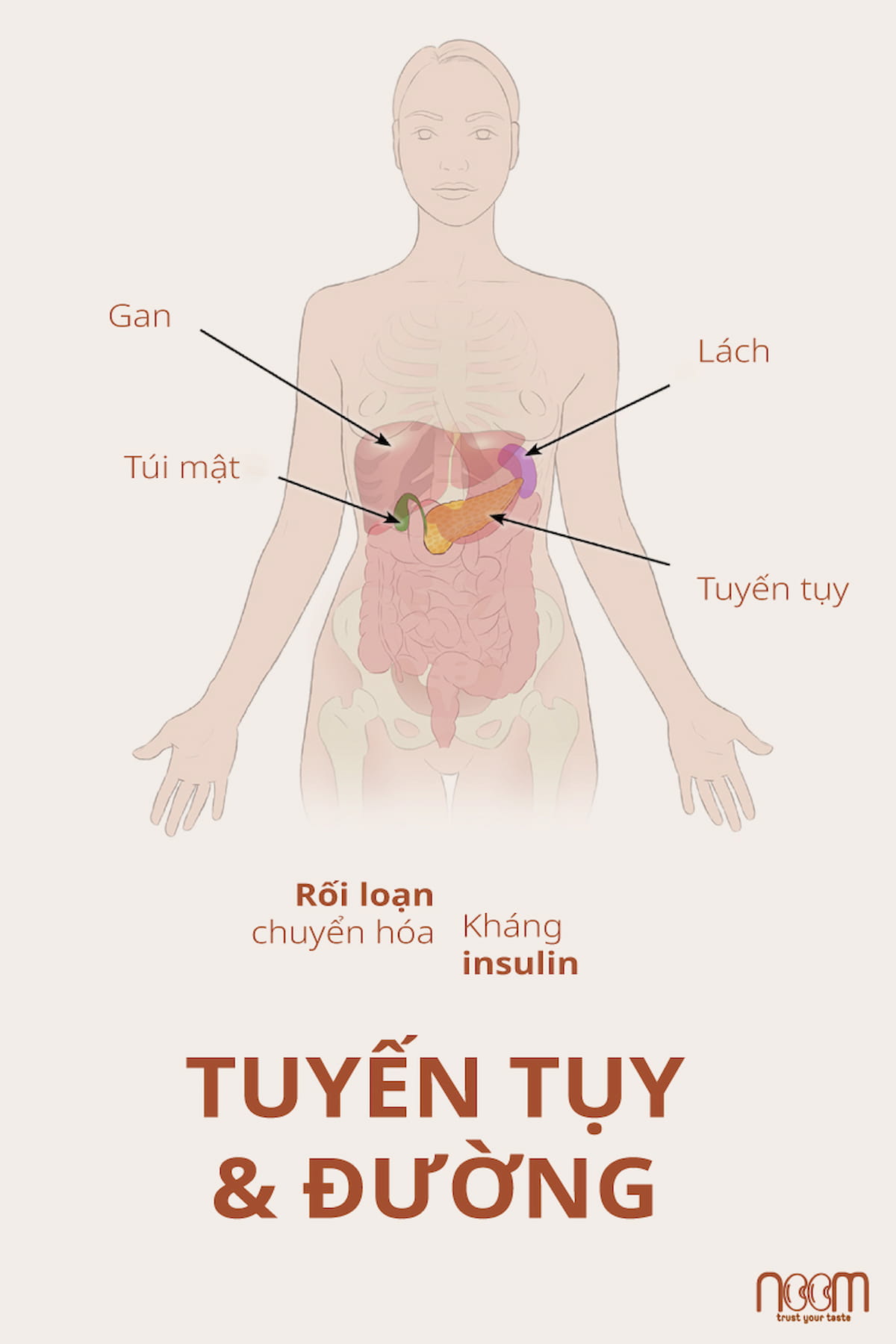 ung-thu-tuyen-tuy