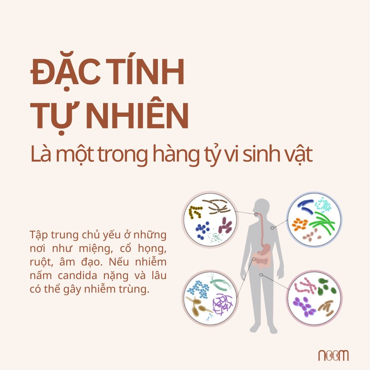 Cach Dieu Tri Nam Candida Tai Nha 3