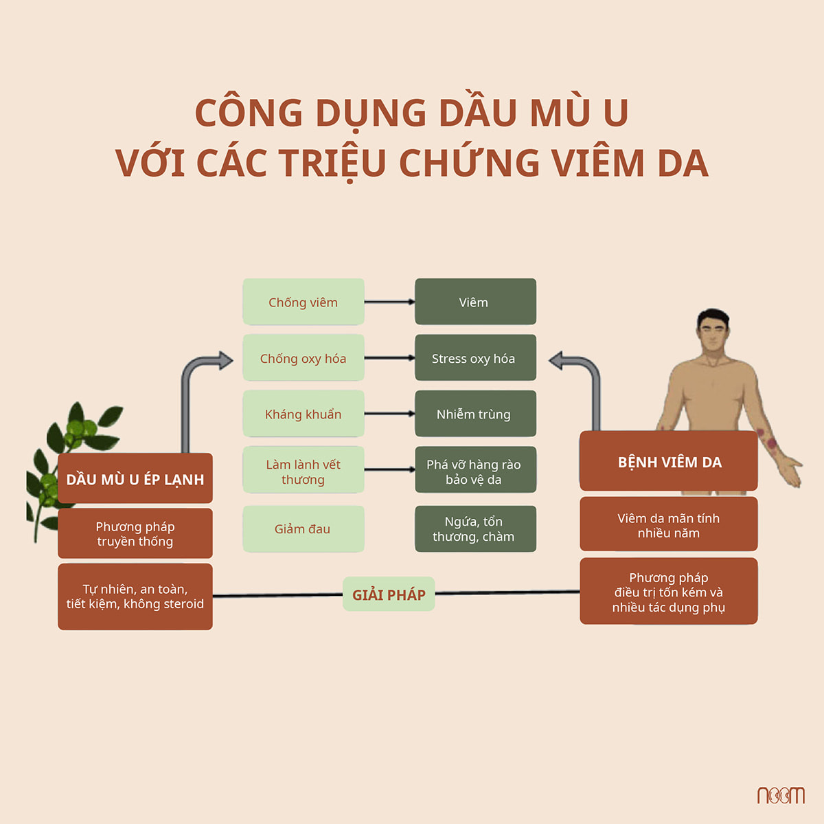 Đối kháng giữa dầu mù u và bệnh viêm da. Nguồn chưa việt hóa: NCBI
