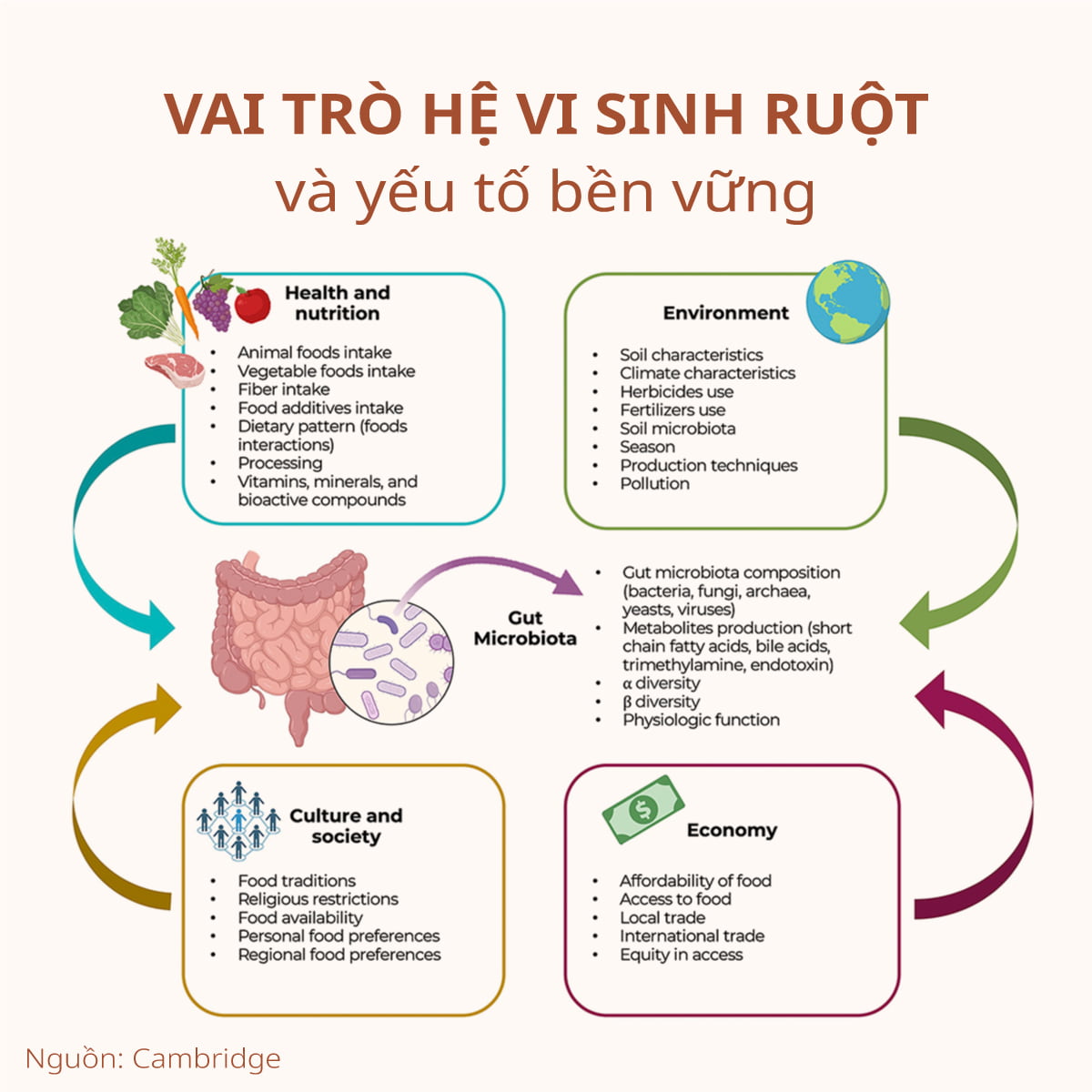Chế độ ăn uống lành mạnh không phải lúc nào cũng bền vững. Chỉ bền vững khi các mô hình ăn kiêng thúc đẩy mọi khía cạnh về sức khỏe và hạnh phúc của con người, đồng thời gây áp lực thấp lên môi trường và dễ tiếp cận, giá cả phải chăng, an toàn, công bằng và được chấp nhận về mặt văn hóa.