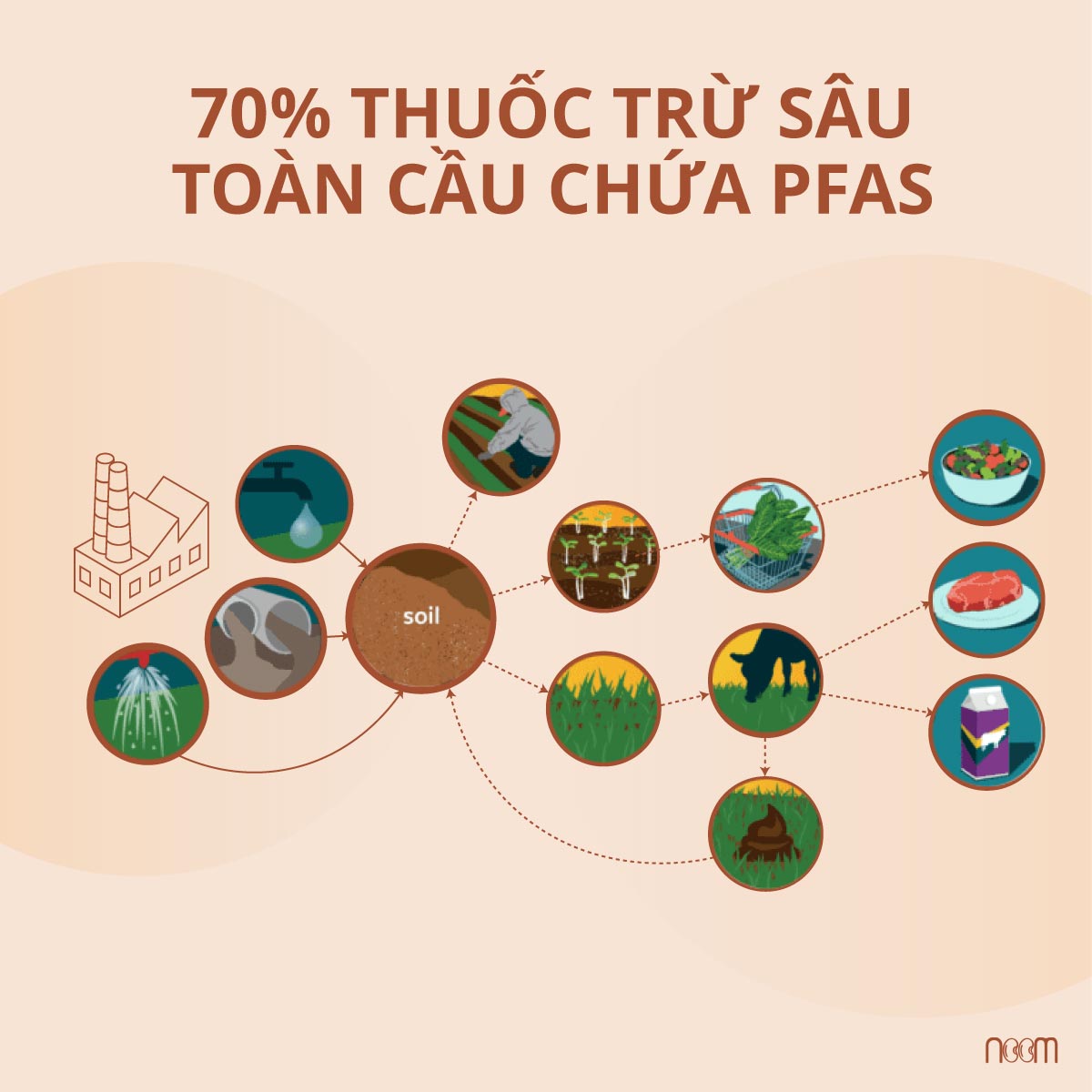 70% thuốc trừ sâu toàn cầu chưa PFAS