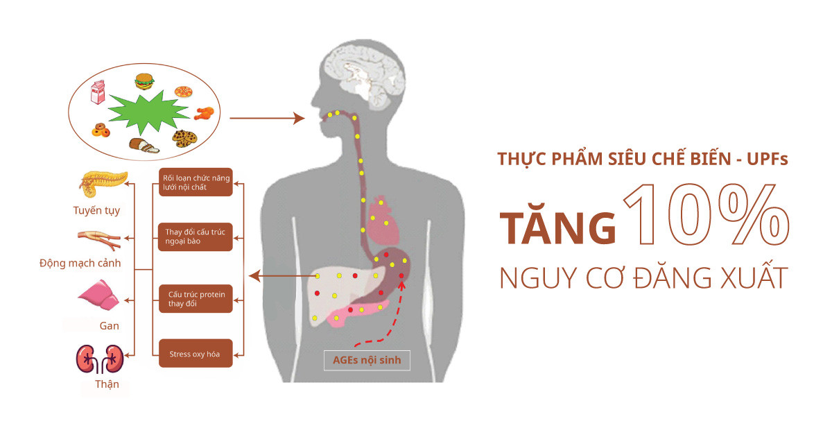 thuc pham sieu che bien bi quyet lam giau