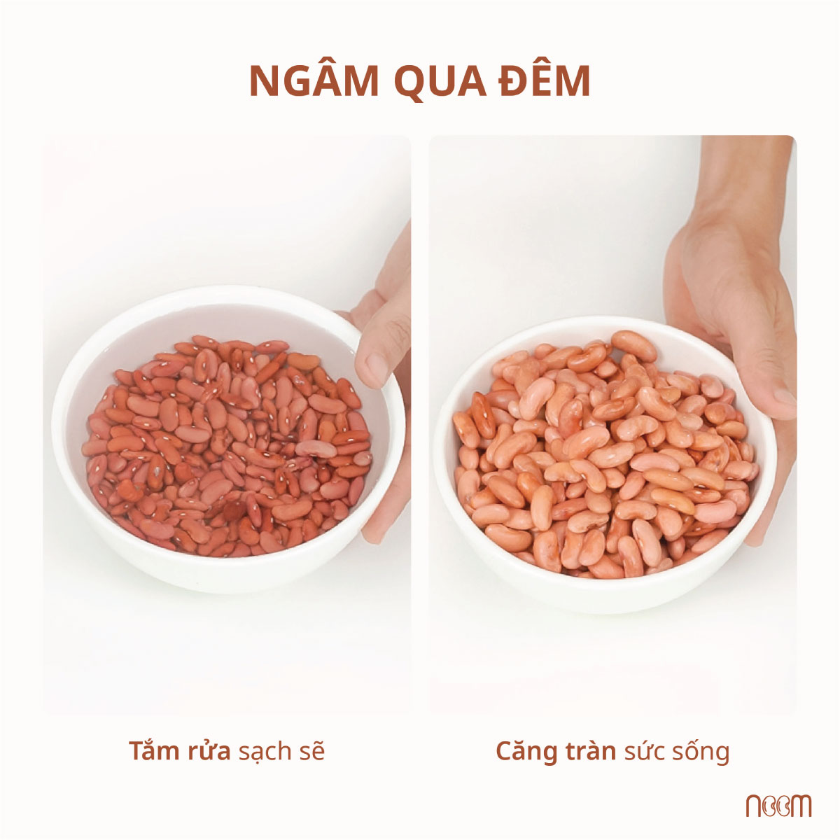 Ngâm qua đêm