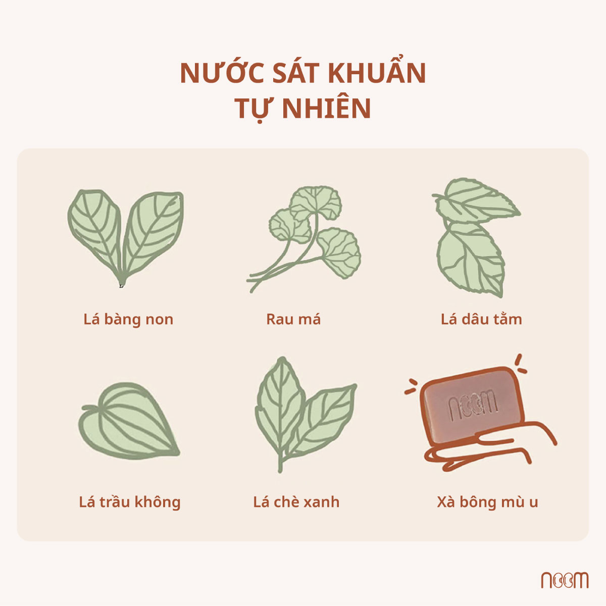 bệnh nấm da